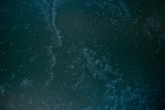 Tournaverse Casino Soporte